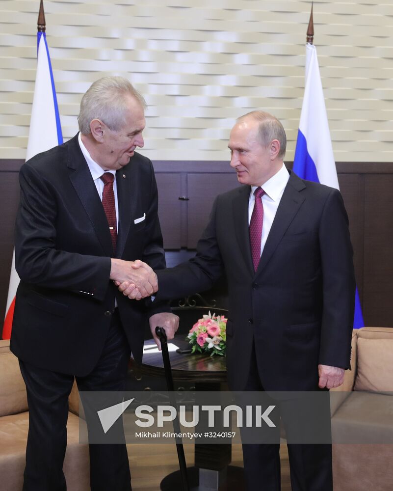 Vladimir Putin meets with Czech Republic President Milos Zeman