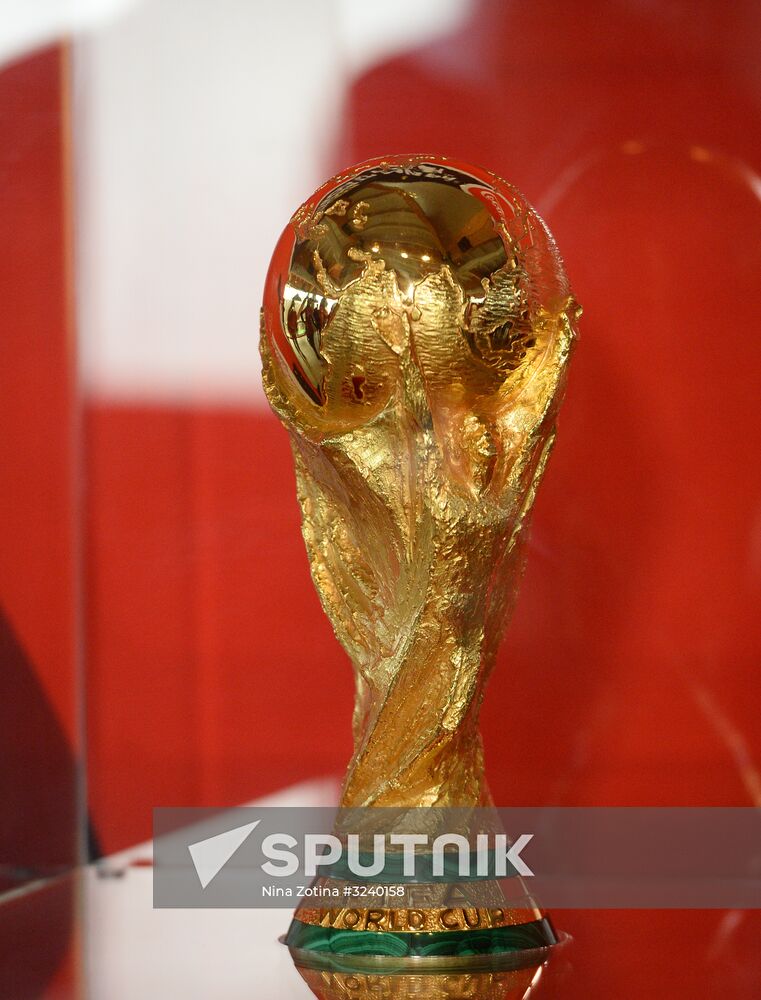 2018 FIFA World Cup presented in Sochi