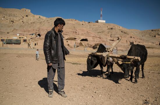 Countries of the world. Afghanistan