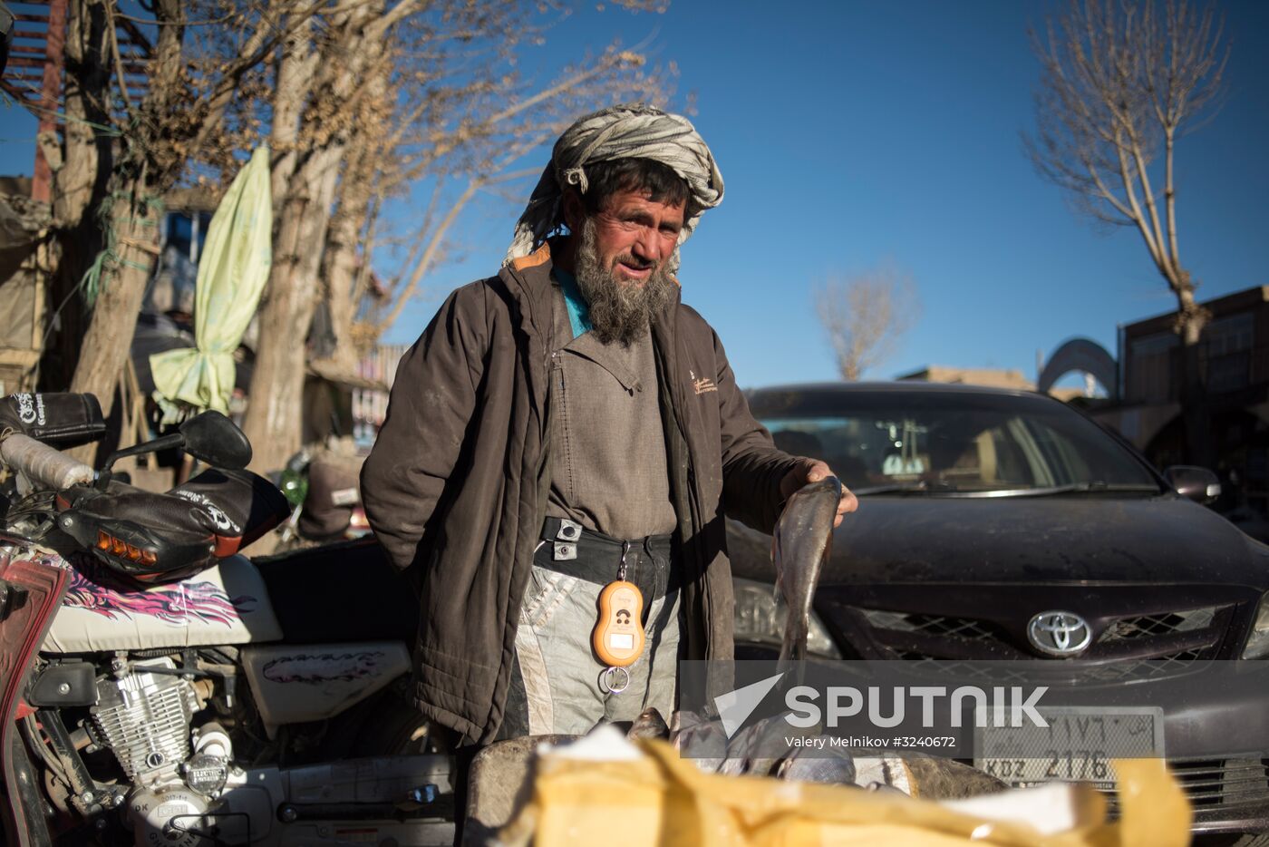 Countries of the world. Afghanistan