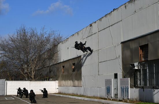 OMON exhibition performance