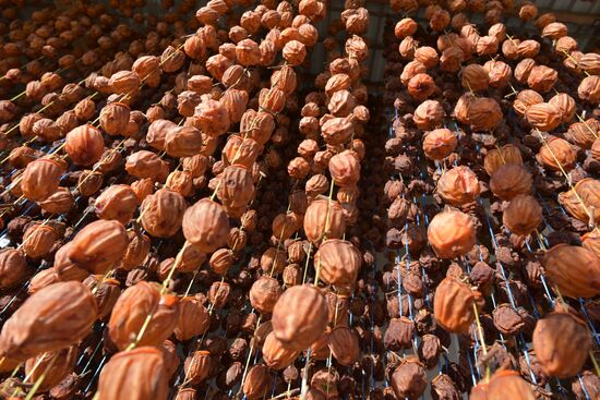 Dried persimmon