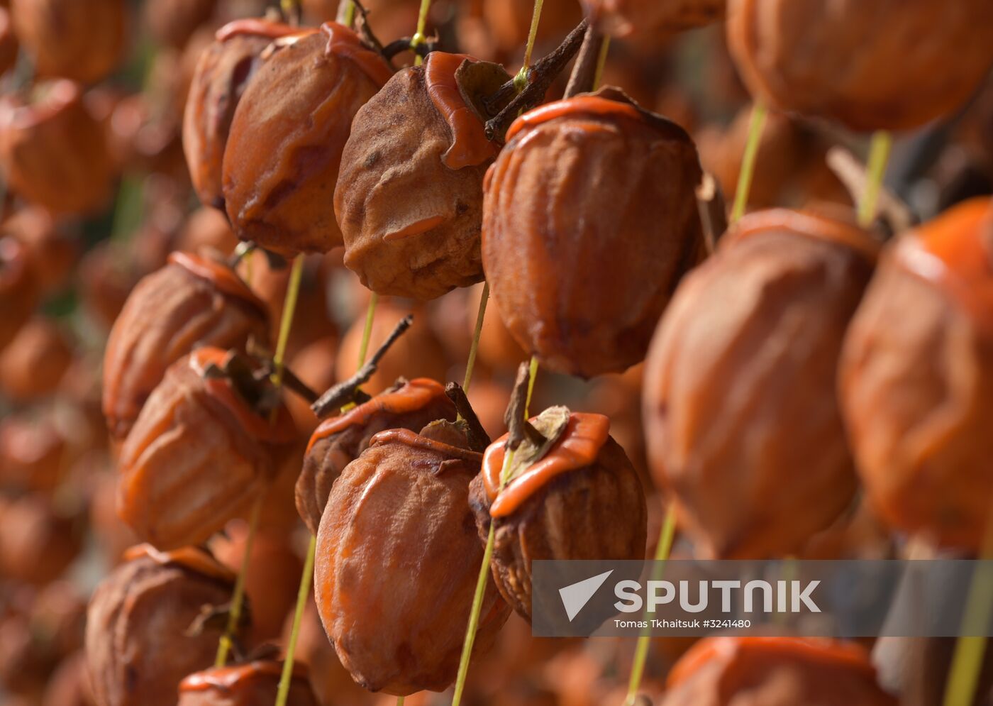 Dried persimmon