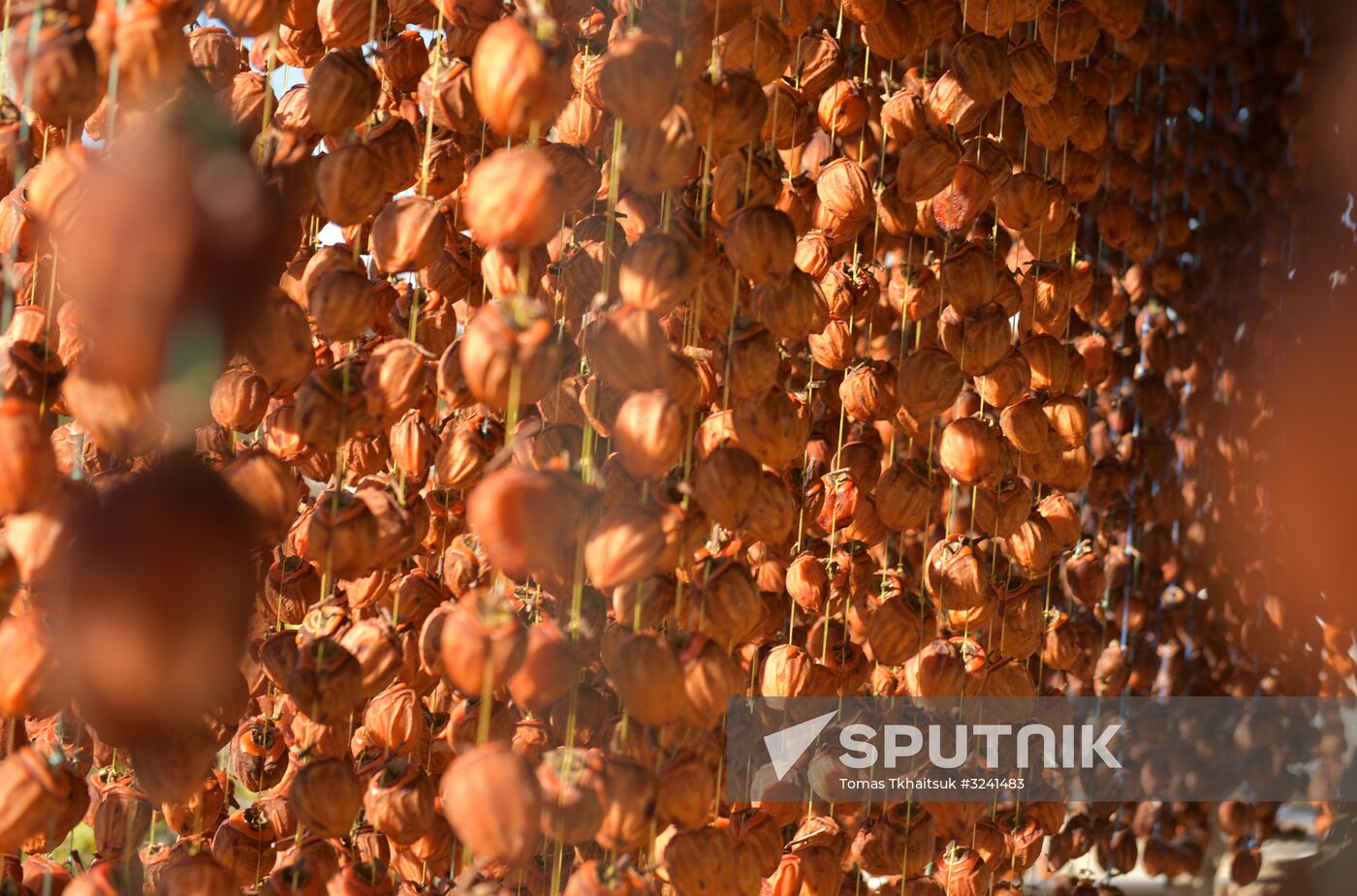 Dried persimmon