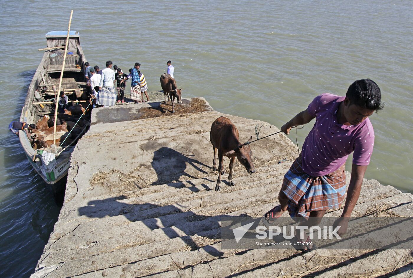 Rohingya refugees in Bangladesh