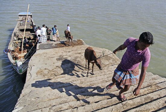 Rohingya refugees in Bangladesh