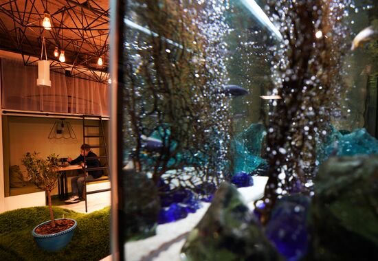 Avito office in Moscow