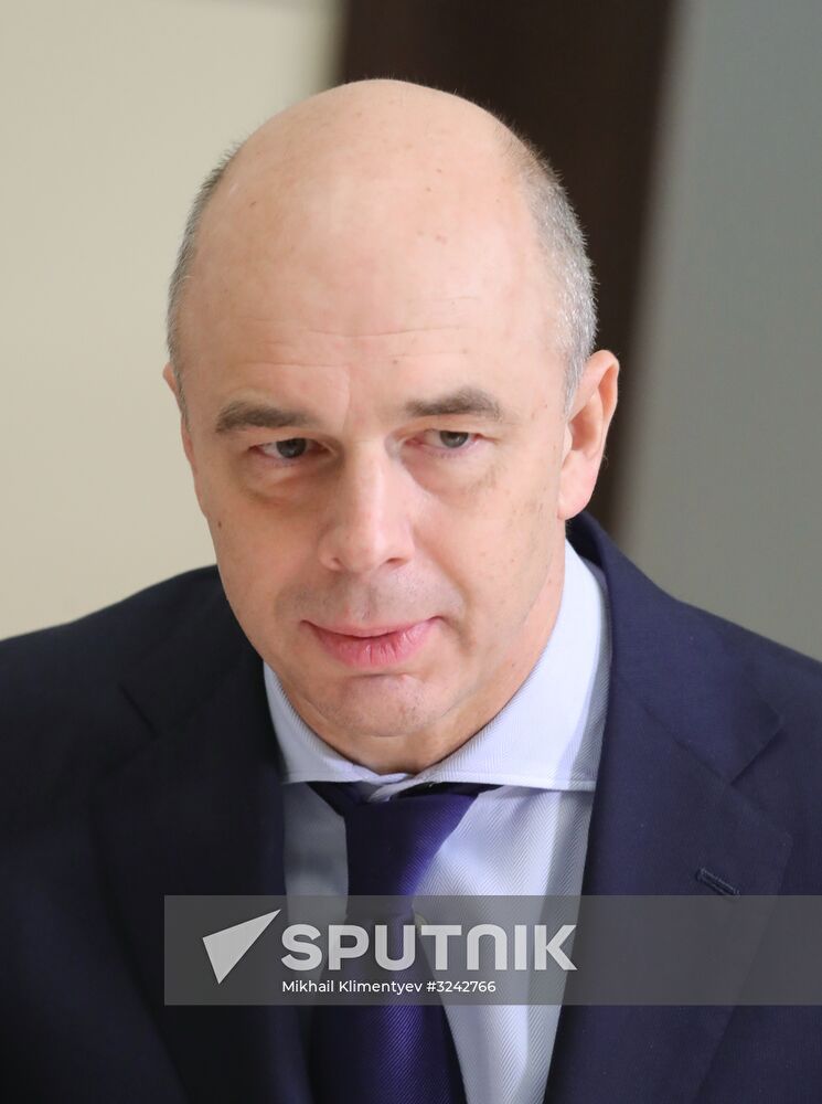 Russian President Vladimir Putin chairs meeting on economic matters