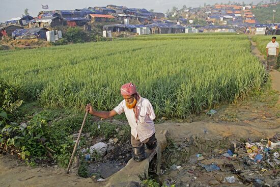 Rohingya refugees in Bangladesh