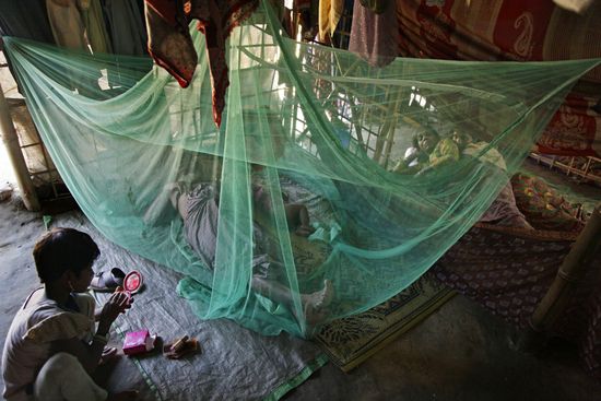 Rohingya refugees in Bangladesh
