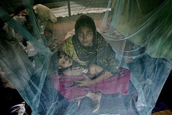 Rohingya refugees in Bangladesh