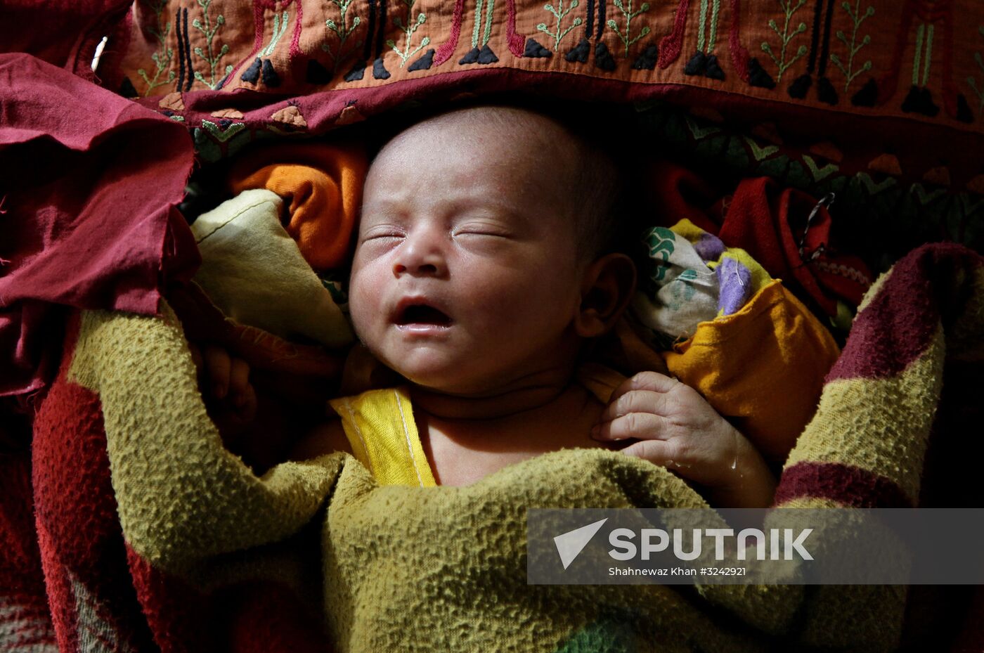 Rohingya refugees in Bangladesh