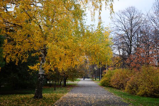 Russian cities. Maikop