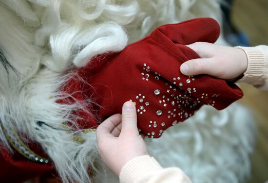 Russia's official Father Frost visits Yekaterinburg