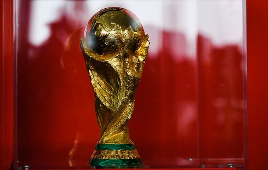 Preparation for 2018 FIFA World Cup draw