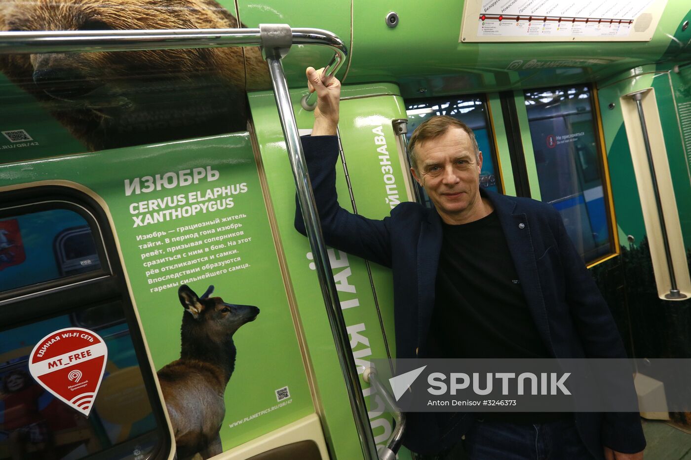 The Year of the Environment themed train