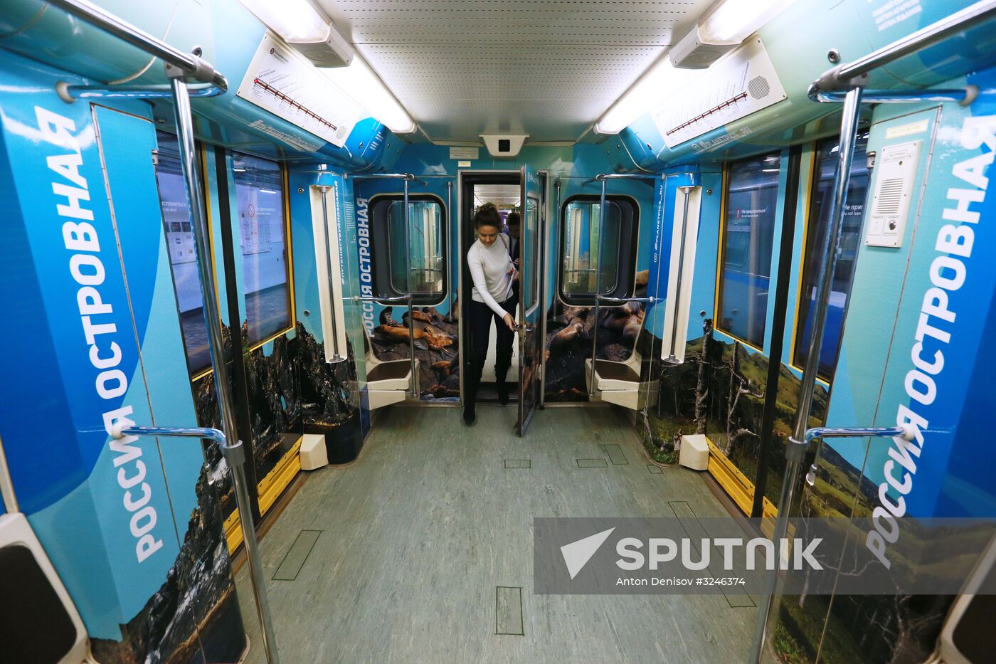 The Year of the Environment themed train