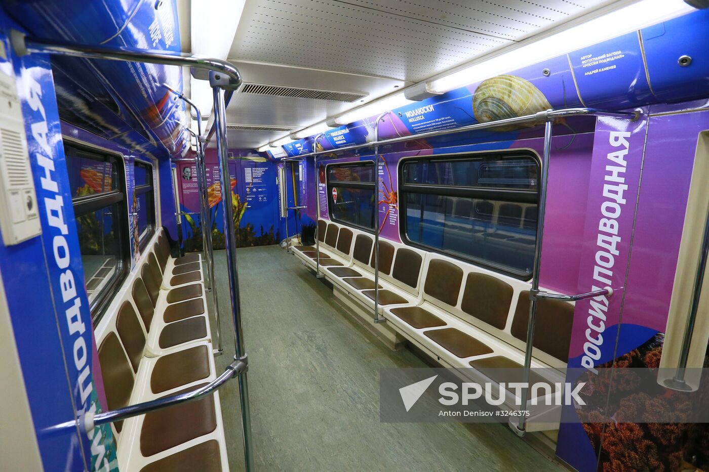The Year of the Environment themed train