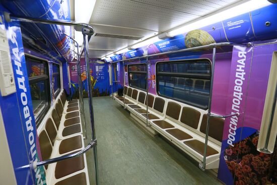 The Year of the Environment themed train