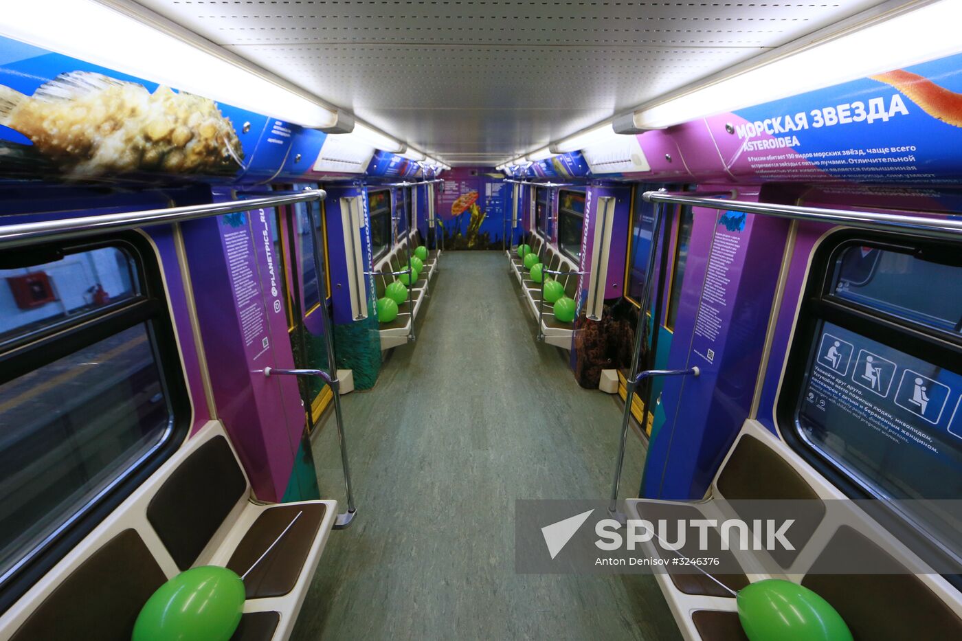 The Year of the Environment themed train