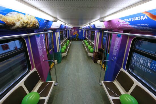 The Year of the Environment themed train