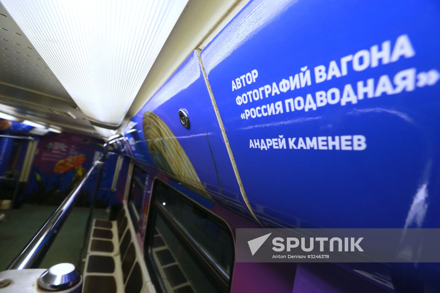 The Year of the Environment themed train
