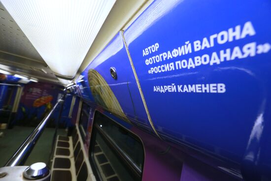 The Year of the Environment themed train