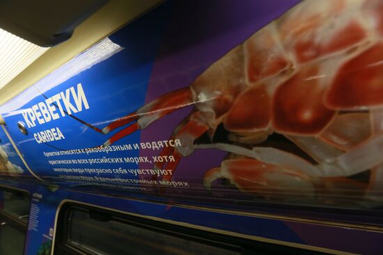 The Year of the Environment themed train
