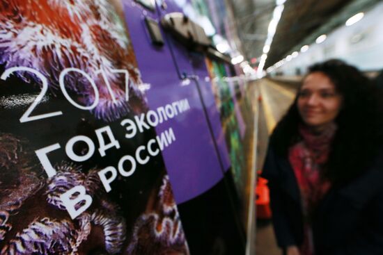 The Year of the Environment themed train