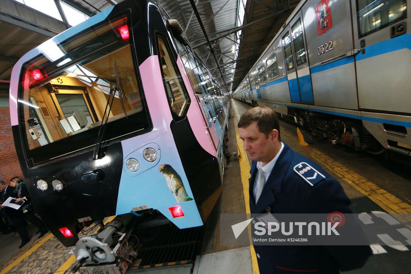 The Year of the Environment themed train