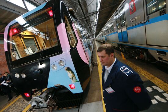 The Year of the Environment themed train