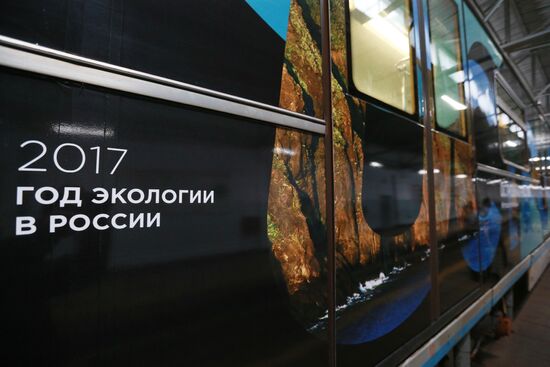 The Year of the Environment themed train