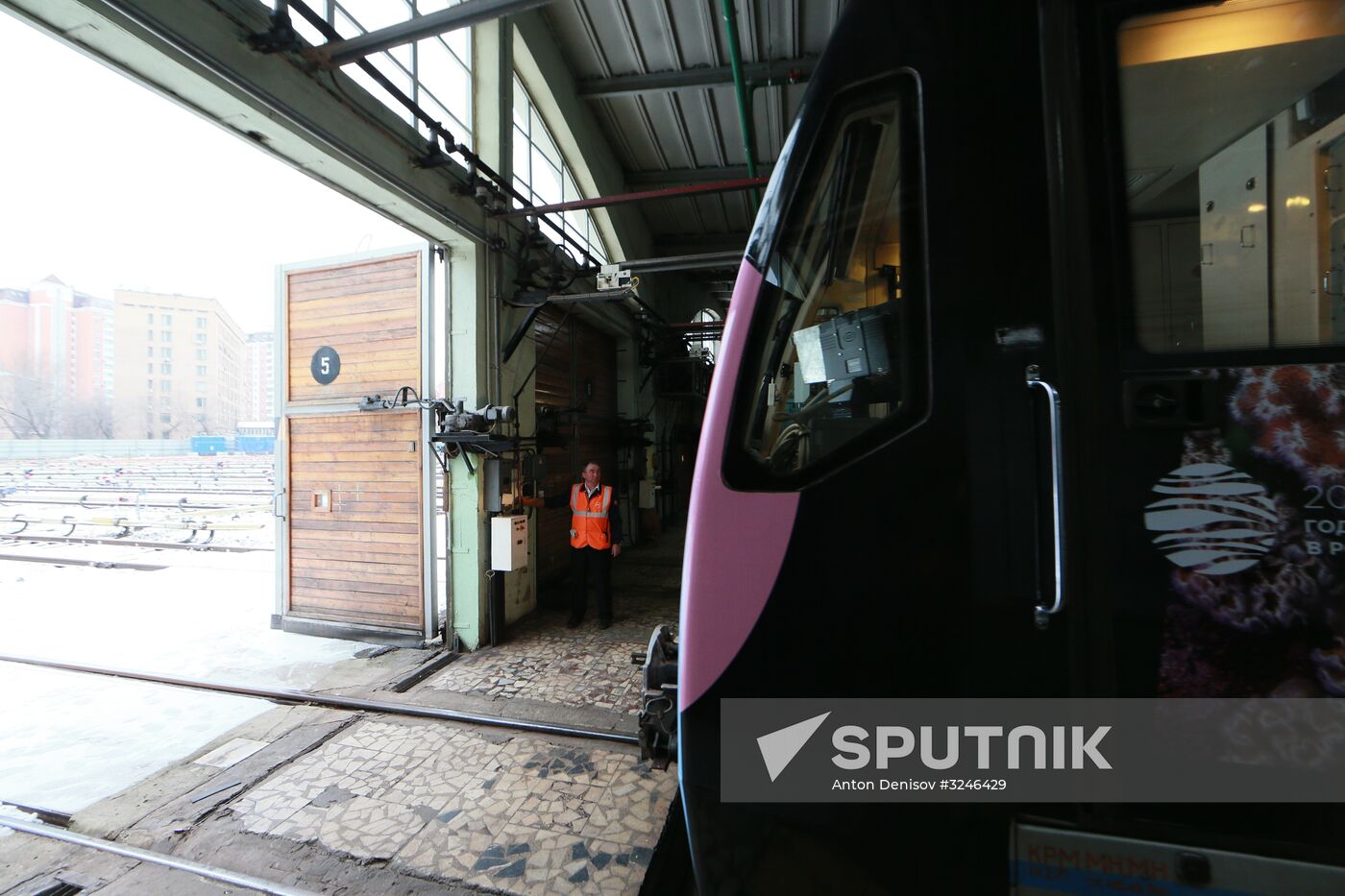 The Year of the Environment themed train