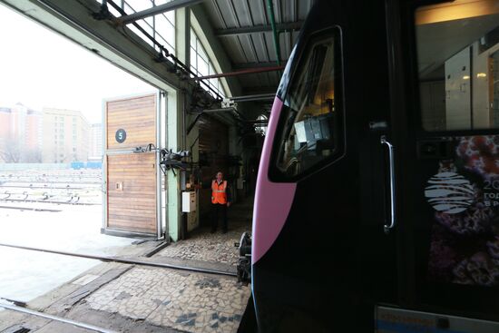 The Year of the Environment themed train