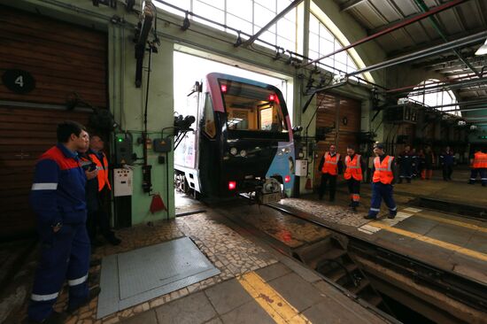 The Year of the Environment themed train