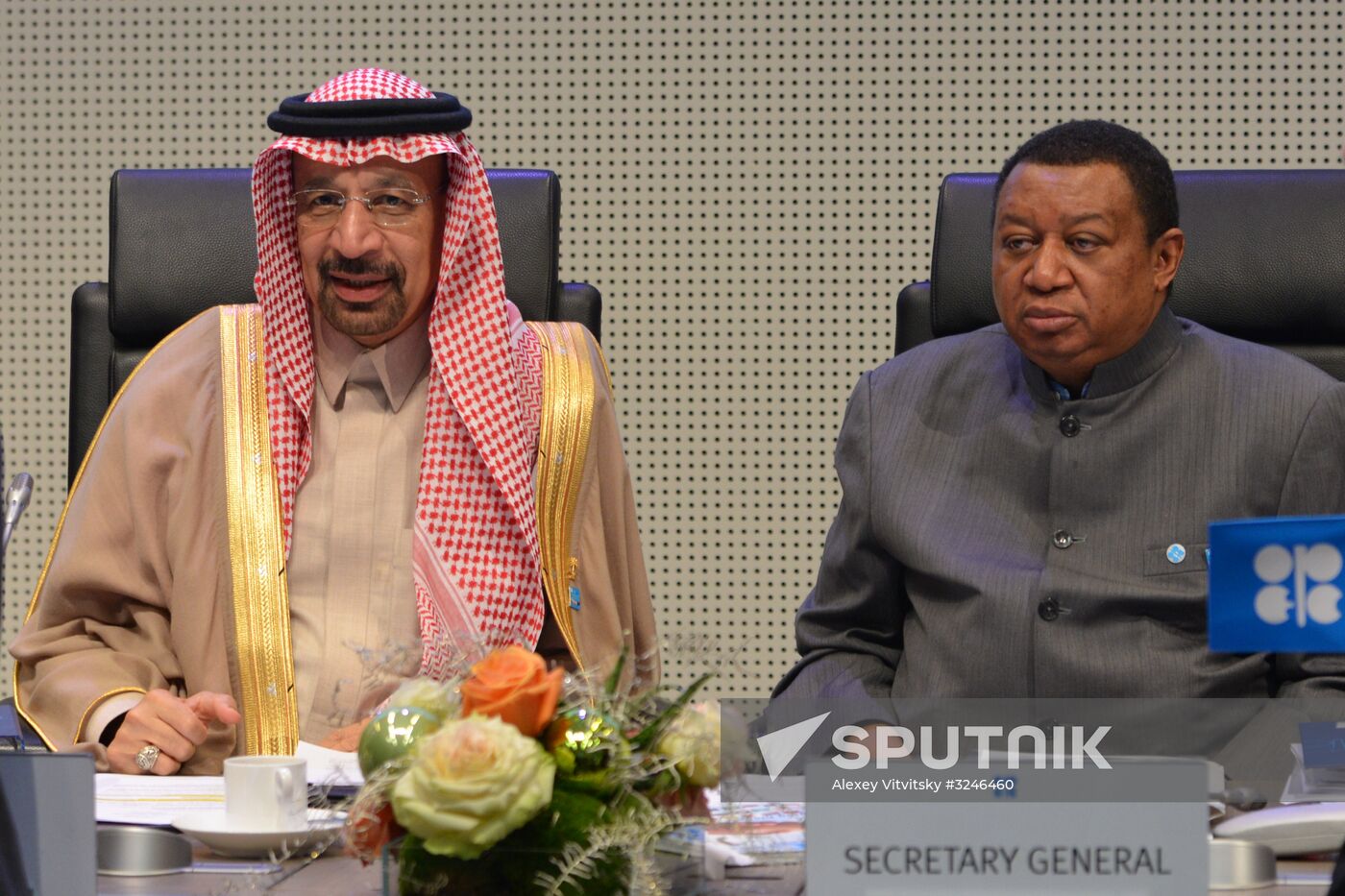 Meeting of Organization of the Petroleum Exporting Countries (OPEC)