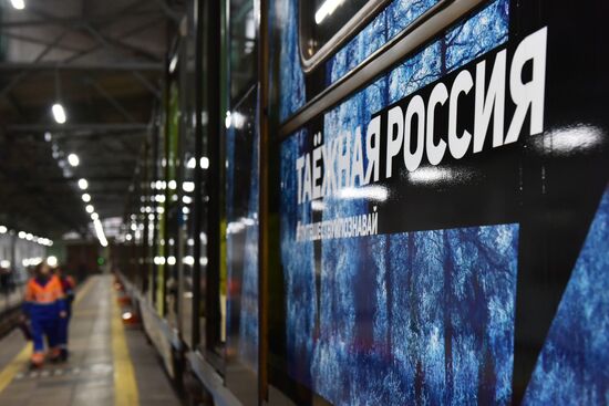 Year of the Environment themed train