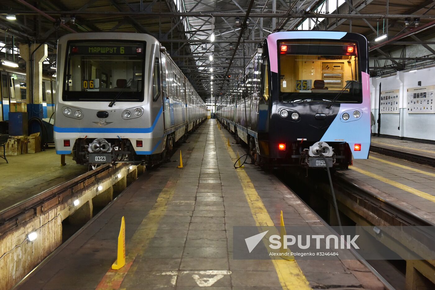 Year of the Environment themed train