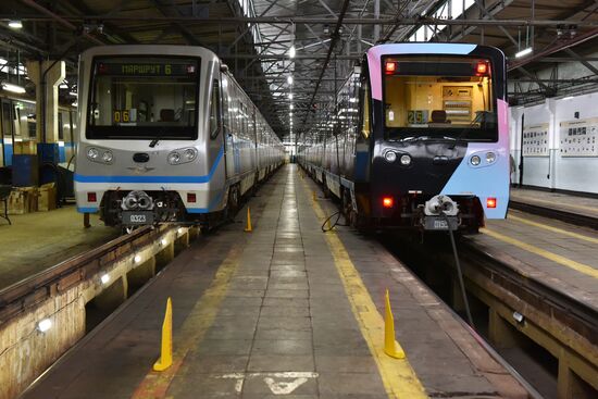Year of the Environment themed train