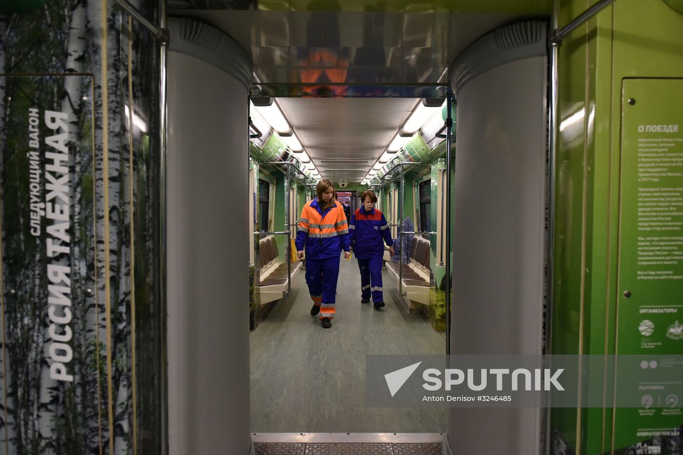 Year of the Environment themed train