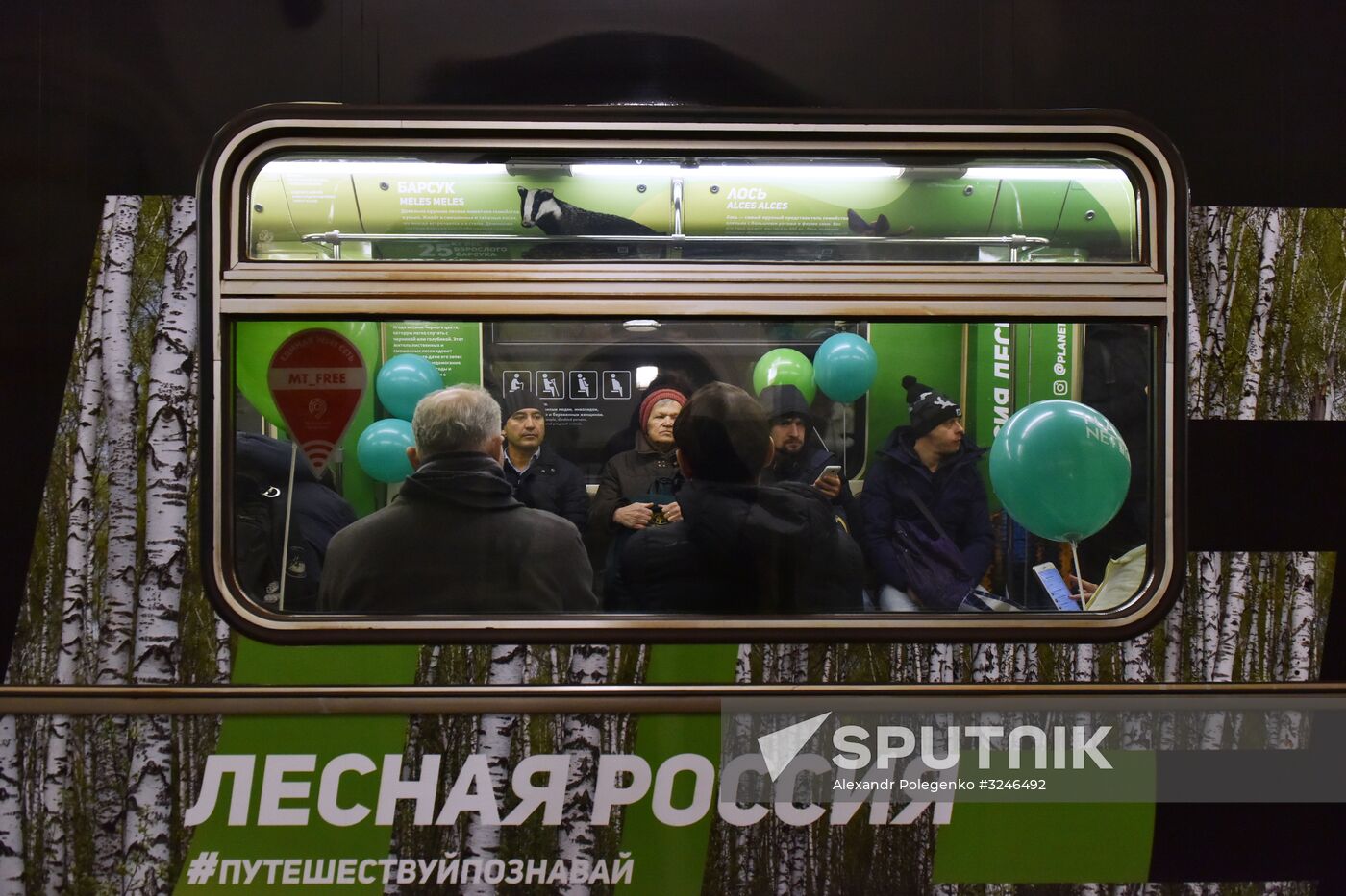 Year of the Environment themed train