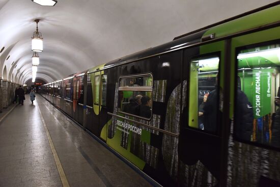 Year of the Environment themed train