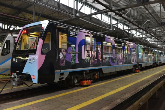 Year of the Environment themed train