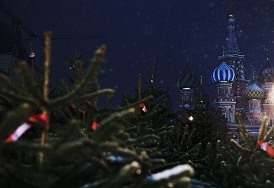 Snow in Moscow