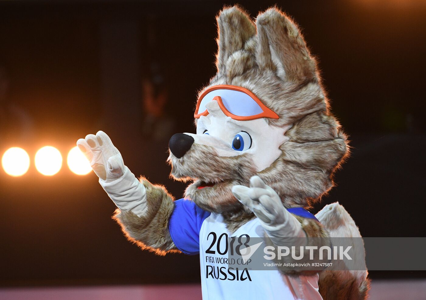 2018 FIFA World Cup Final Draw