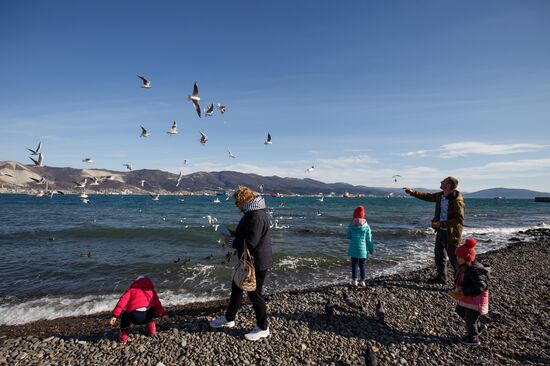 Russian cities. Novorossiysk