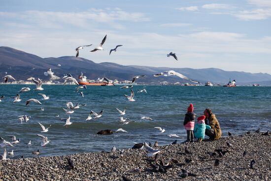 Russian cities. Novorossiysk