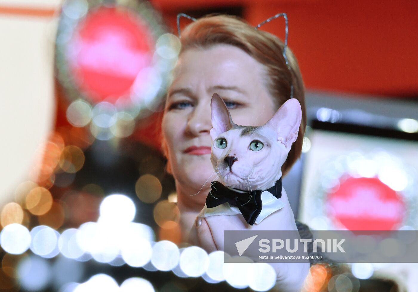 International cat show in Moscow