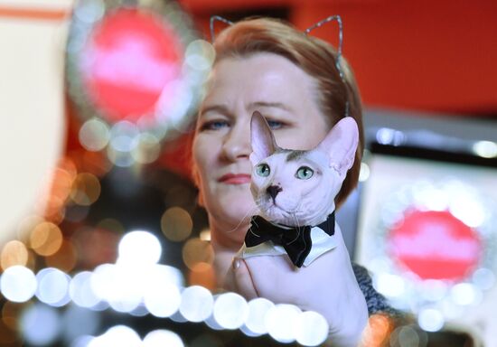 International cat show in Moscow