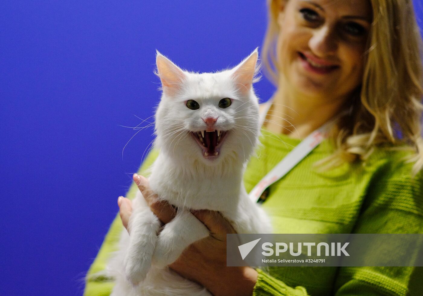 International cat show in Moscow